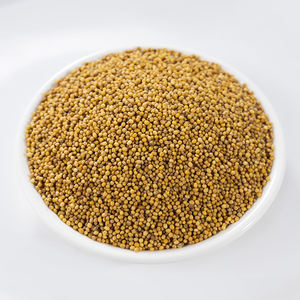 Suministro a Granel Directo de Fábrica, Semillas de <span class=keywords><strong>Mostaza</strong></span> <span class=keywords><strong>Blanca</strong></span> Natural Premium, <span class=keywords><strong>Planta</strong></span> Herbal para la Industria de Especias y Culinaria - Product Image 1