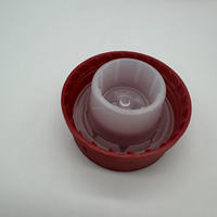 Bouchons de bouteille en plastique rouge pour huile moteur diesel industrielle, avec bec verseur pour bouteille d'huile moteur en plastique