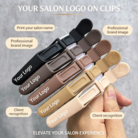 Pinces de sectionnement pour salon de coiffure, pinces crocodiles pour extensions et coiffage, barrettes pour la coiffure