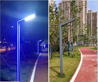 Pôle Lumière Extérieure Rue Voie Pierre Pelouse Jardin Éclairages 220 Spike Globe Cordon Sphère Fleur Ampoules Ip65 Pilier Lumière Lampe