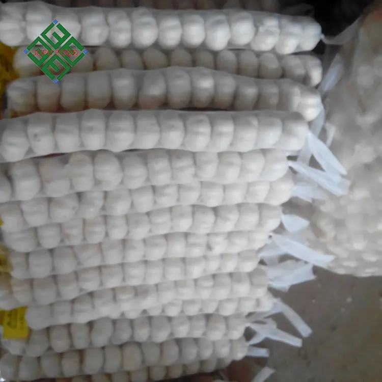 2023 Top Ranking Chinese pure white garlic factory wholesale price