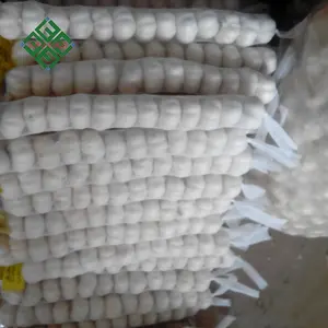 2023 Top Ranking Chinese Pure White Garlic Factory Wholesale Price