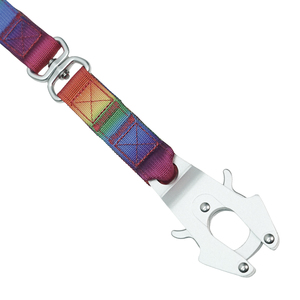 Heavy Duty <b>Rainbow</b> Nylon Dog Leash, Durable Metal Clip for Medium to Large Breeds - Product Image 4