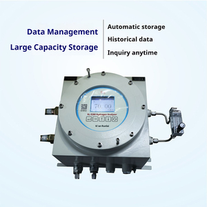Runlai High Quality E200Ex Explosion Proof Analyzer Digital LCD Display Customizable Gas Detector - Product Image 4