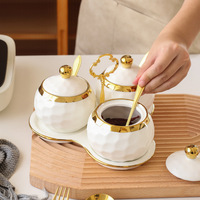 Ensemble de pots à épices en porcelaine nordique, pots à sel et à sucre pour la cuisine avec plateau, pots de rangement pour condiments en céramique de luxe