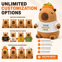 Peluche Capybara Guérisseur Personnalisée en Gros, Jouet en Peluche sur Mesure, Conception de Personnage, Commande en Gros, Fabrication OEM ODM