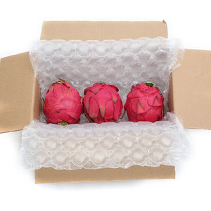 Película Protectora Reciclable de Primera Calidad, Ecológica, Relleno de Vacío, Resistente a Impactos, Rollo de Plástico de Burbujas Inflable - Product Image 2