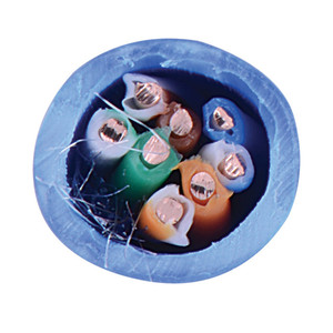Blue 1000 'Cabo UTP Cat5e 305เมตรอีเธอร์เน็ตที่เป็นของแข็งสายเคเบิลจำนวนมาก24AWG อินเทอร์เน็ตเครือข่ายทองแดง - Product Image 5