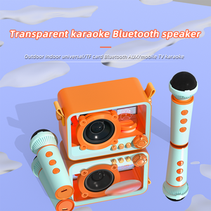 QD06 Retro Transparent Karaoke <strong>Speaker</strong> TF Card Support IPX4 Waterproof RGB LED Lights Wireless Microphone Home Theatre Computer - Product Image 2