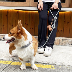Ensemble collier et laisse pour <span class=keywords><strong>chien</strong></span> <span class=keywords><strong>BioThane</strong></span>, cuir végétalien, imperméable, inodore, durable et résistant pour grands chiens - Product Image 6
