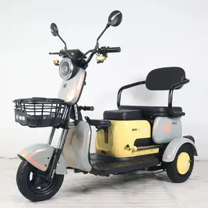 China Factory Saige Brand Simple Operation Adult 3 Wheels Electric Motorcycle With CE Free Shipping