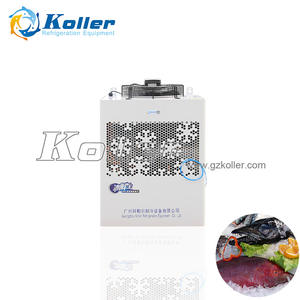 Koller बुएना Calidad Camara Frigorifica, Maquinas पैरा Hacer Hielo VCR10 पैरा लातीनी अमेरिका - Product Image 4