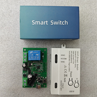 Module d'automatisation domestique intelligent Ewelink APP Wifi 433 MHz avec interrupteur intelligent DIY, minuterie 7-32V, télécommande + convertisseur 433 MHz