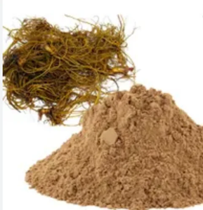 Polvo de Raíz de Golden Seal Premium, Grado Alimenticio, Finamente Molido, Polvo de Raíz Herbal Natural para Té de Hierbas, Mezclas Botánicas Tradicionales - Product Image 4