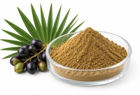 Extrait de palmier nain en poudre MANHAY 25%-45% Acides gras Qualité alimentaire