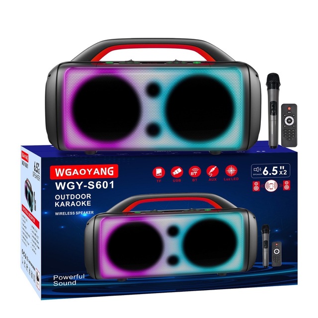 New Design Double 6.5"inch Party Wireless Portable Speaker for Dancing Karaoke BT Speaker with Microphone