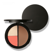 Palette de contour minérale pressée mate, haute pigmentation, couvrance totale, résistante à l'eau, pour le visage et le corps, facile à appliquer, marque privée