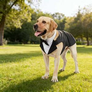 Ensemble de costume de smoking de luxe classique personnalisé pour chien Tanpopo avec collier, bandana, nœud papillon et chemise de cérémonie pour animaux de compagnie pour mariage et fête - Product Image 5