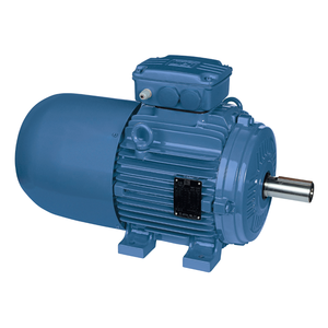 Moteur asynchrone triphasé WEG W21 à démarrage direct en ligne, haute efficacité, 50/60 Hz, 0,55 kW ~ 355 W, montage B3T, AC W21 Weg W21 - Product Image 6