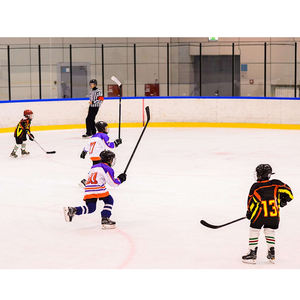 Azulejos de hockey, pista de patinaje sintética, tabla de patinaje sobre hielo - Product Image 3