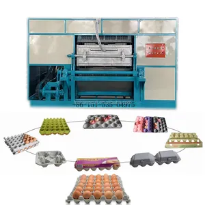 Línea de producción de máquina de moldeo de bandeja de huevos automática de reciclaje de papel de desecho