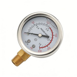 Manomètre Zhongxin 0-2,5 Mpa 0-360 Psi, boîtier en acier inoxydable, raccord radial pour compresseur d'air et pompe hydraulique - Product Image 5