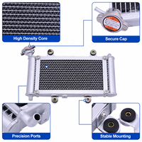 Radiateur de refroidissement à eau pour Bashan 200CC 250CC BS200 BS200S-7 UTV ATV Quad Buggy Accessoires Moteur