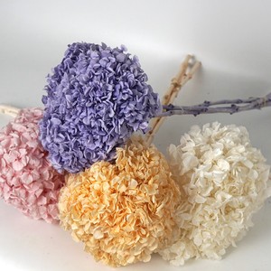Fleur naturelle stabilisée Lijiang, <span class=keywords><strong>Hortensia</strong></span> à grandes feuilles, tige unique, pour décoration intérieure, ornement, bouquet, cadeau - Product Image 2