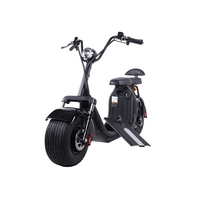 Scooter Eléctrico Clásico de 1500W, Económico, de 2 Plazas, Citycoco, con Dos Ranuras para Baterías de Litio Extraíbles