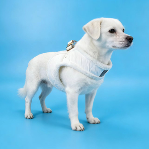 犬用ハーネス 子犬 猫用ベスト 小型犬 中型犬用 チワワ ヨークシャーハーネス - Product Image 2