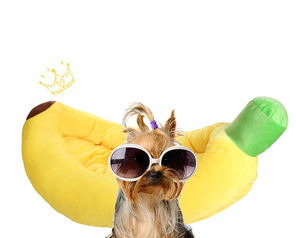 Cama para Perro de Diseño Suave y Adorable en Forma de Plátano, Venta al Por Mayor del Fabricante - Product Image 4