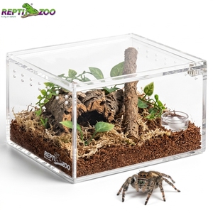 Terrario Acrílico Pequeño REPTIZOO de 10.5x8.5x6.5cm, Recinto para Invertebrados como Arañas Saltadoras, Tarántulas, Mantis y Isópodos - Product Image 2