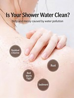 Filtre de douche aromathérapeutique à la rose de Damas, déchloration, soin de la peau, purificateur d'eau ABS pour salle de bain