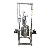 Autoclave de laboratoire Borui 10L en acier inoxydable 304 à chauffage électrique, haute pression, avec agitateur magnétique et contrôle PLC