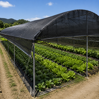 Zware HDPE geweven schaduwnetrollen, UV-gestabiliseerd, voor landbouw, kwekerijen, gewasbescherming en plantenafdekking.