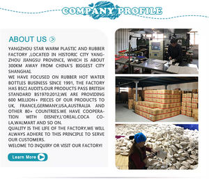 Caoutchouc coloré personnalisé 1000ml <span class=keywords><strong>panda</strong></span> design sac d'eau chaude en caoutchouc bouteille de sac d'eau chaude - Product Image 2