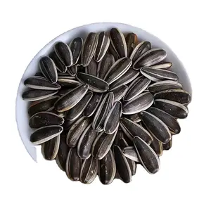 601 with thin skin Fresh High-quality Natural Raw Sunflower Seeds for oil