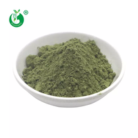 Dónde Comprar Polvo de Moringa, Polvo de Hoja de Moringa Natural