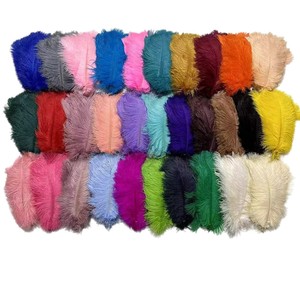 Trois mille plumes écologique 15-80cm grandes plumes d'autruche blanches décoration pour mariage allée Photo accessoires salon - Product Image 1