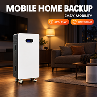 Batterie au lithium LiFePO4 sur roulettes pour usage domestique, 48V 51.2V 314Ah 15kWh 16kWh, longue garantie pour résidence