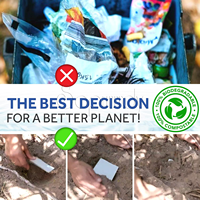 Bandes de détergent à lessive biodégradables Earth Breeze naturelles personnalisées sans Pva Feuilles de détergent à lessive écologiques