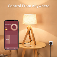 Bilihondim EU Mini WiFi Plug Dimmer 200W 1 Canal Compatible Tuya Assistant Contrôle Sans Fil Installation Facile Garantie 1 An