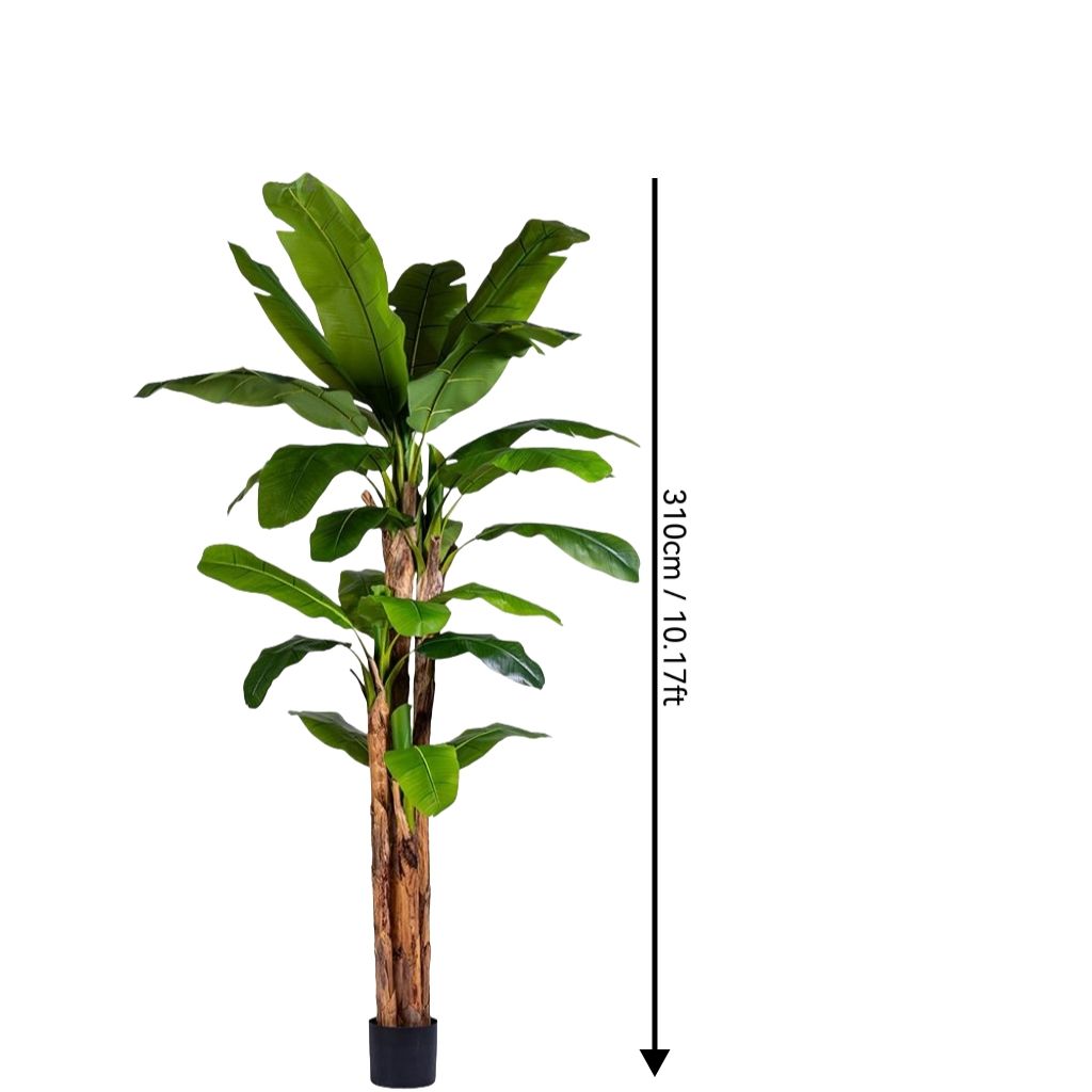 Vert 10,17 pieds/310 cm