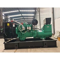 Generatore Elettrico Trifase 150kW con Motore Stirling Silenzioso e Opzione ATS, Generatore Diesel 187.5kva con Saldatrice Cumm Ins