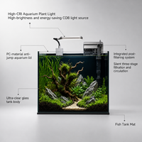 Nano aquarium en verre à faible teneur en fer 91 % clarté, aquarium de bureau personnalisé en gros avec filtre silencieux et lampe COB
