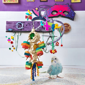 Đầy Màu Sắc Thân Thiện Với Môi Vật Liệu Tự Nhiên Vuông Chim Đồ Chơi Câu Đố Cắn Kháng Chuỗi Trang Trí Mặt Dây Chuyền Con Vẹt Nguồn Cung Cấp T-Vật Nuôi - Product Image 3