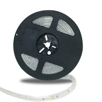 Prix promotionnel usine : Bande LED USB avec carte PCB pour éclairage nocturne SMD2835 120D IP20/65/67/68, découpable, télécommande