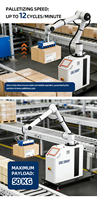 Robot collaboratif de palettisation pour cartons, boîtes, bidons et fûts métalliques – Bras automatique haute efficacité pour préhension et placement – Cobot de palettisation