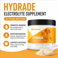Poudre de supplément d'hydratation pour chiens sous marque privée, soutien électrolytique et de récupération, boisson énergétique aux acides aminés pour chiens actifs, OEM personnalisé