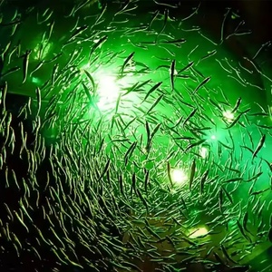 Batería interior 300W recargable <span class=keywords><strong>Luz</strong></span> de pesca subacuática <span class=keywords><strong>blanco</strong></span> verde azul calamar pesca luces Led - Product Image 5